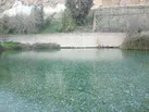 ثبت ملی سراب نیلوفر