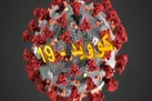 فوت ۸۱ بیمار / شناسایی ۷۹۷۵ بیمار جدید کووید ۱۹ در کشور