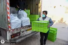 توزیع ۱۲ هزار پرس غذای متبرک رضوی میان پناهجویان افغانستانی تربت جام