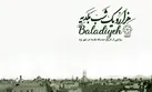 مستند «هزار و یک شب بلدیه» به مرحله نهایی معتبرترین جشنواره کشور راه یافت