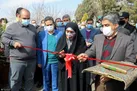 درختان «باغ زندگی» و «باغ خاطره» ارتباط میان شهروندان و محیط زیست
