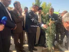 آغاز درختکاری کهگیلویه و بویراحمد با پویش مهر سبز