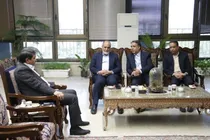 کرمان به مجتمع سینمایی نیاز دارد