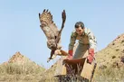 محیط‌بان آسان پرمی‌کشد!