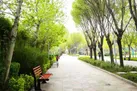 حفظ فضای سبز ۵۷۰۰ هکتاری اصفهان زیر فشار هم‌زمان خشکسالی و تغییر اقلیم
