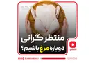 منتظر گرانی دوباره مرغ باشیم؟