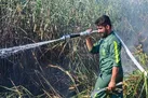 ۲ نفر در رابطه با آتش سوزی تالاب انزلی روانه زندان شدند