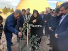 پویش درختکاری با حضور چهره ماندگار ملی در روستاهای بخش مرکزی گرمسار