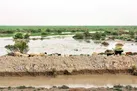 نجات سیستان با دیپلماسی آب