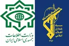اعضای شبکه اراذل و اوباش مرتبط با سرویس اطلاعاتی رژیم صهیونیستی دستگیر شدند