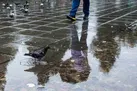 باد شدید و باران در نقاط مختلف کشور