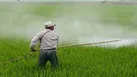 مبارزه شیمیایی با علف‌های هرز گندم در هرمزگان