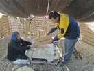 پستچی همیشه در می‌زند
