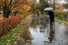 کاهش ۱۹.۶ درصدی بارش‌های پاییزی | افزایش آلودگی‌هوا از پنجشنبه