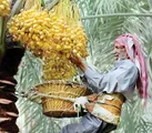 ایران جان به وقت خوزستان