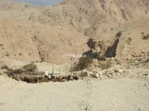 چوب حراج بر سر مراتع راهدار
