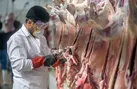 کشف و امحای ۳۳۰ کیلوگرم گوشت غیرمجاز در آبادان