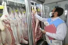 معدوم‌سازی ۸۰۰ کیلوگرم فرآورده خام دامی غیربهداشتی در آبادان