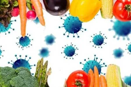 افراد برای زدن واکسن کرونا نباید ناشتا باشند