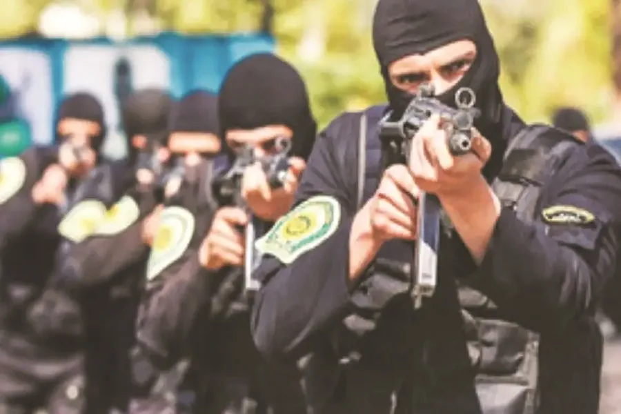 پلیس واقعی در آثار تلویزیونی