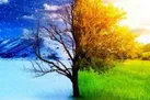 نکاتی درباره تاثیر مستقیم تغییرات آب و هوایی بر سلامت جسم و روان