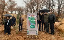کهگیلویه و بویراحمدی ها در باران زیر سایه مادر نهال کاشتند