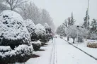 بارش برف و باران و وزش شدید باد در اکثر مناطق کشور / با احتیاط به ارتفاعات صعود کنید