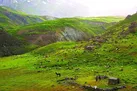 طالقان؛ مقصدی نو در دل البرز برای گردشگری پایدار در دل رشته‌کوه‌های البرز