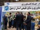 اردبیل تنها استان در بیشترین کاربری اراضی کشاورزی است