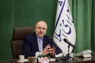 رئیس مجلس خواستار محکومیت بین‌المللی ترور ناجوانمردانه شهید خدایی شد