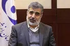 خلاء نظارتی مورد ادعای آژانس مبنای حقوقی ندارد | ایران پاسخ سوالات آژانس را داده است