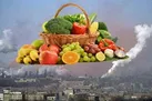 راه نجات از همدستی آلودگی هوا و کرونا