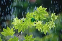 استمرار بارش‌ها در کردستان تا روز یکشنبه