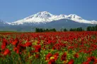 رونق گردشگری اردبیل از سبلان تا منطقه آزاد اروند