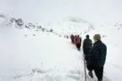 مرگ تلخ در ارتفاعات آلمالو