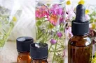 عرضه 10 داروی گیاهی برای کاهش علائم کرونا به بازار