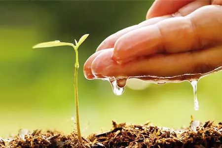 صبر، گذرگاه ورود به نیکی‌هاست