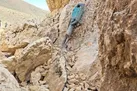 دستگیری و متلاشی شدن باند حفاران غیرمجاز در لالجین