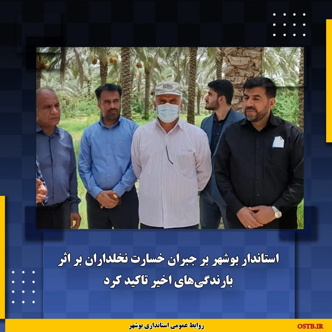 حمایت و پشتیبانی از نخلداران