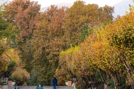 افزایش دمای تهران تا چهارشنبه