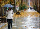 بارش باران و برف در ۱۴ استان