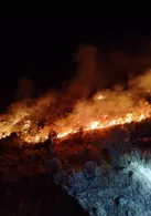 گیسکان ایستاده سوخت