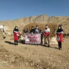 امدادرسانی هزار و ۶۷ نیروی هلال احمر ایلام به حادثه دیدگان