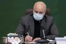 نهادهای امنیتی و انتظامی عاملان و آمران حادثه خونین شاهچراغ را شناسایی کنند