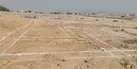 ثبت نام ۴۵۰۳ متقاضی زمین در طرح جوانی جمعیت گیلان