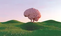  استراحت به جای تنبلی!