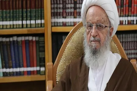 آیت الله مکارم شیرازی: عزاداری محرم با رعایت پروتکل‌های بهداشتی برگزار شود