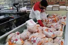 جدول | آخرین وضعیت بازار گوشت مرغ