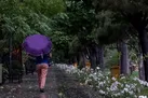 رگبار و رعد و برق در تهران | افزایش دما تا ۲۴ خرداد