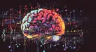 رمزگشایی از مغز در کهنسالی